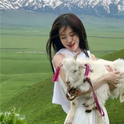 巡回检察组